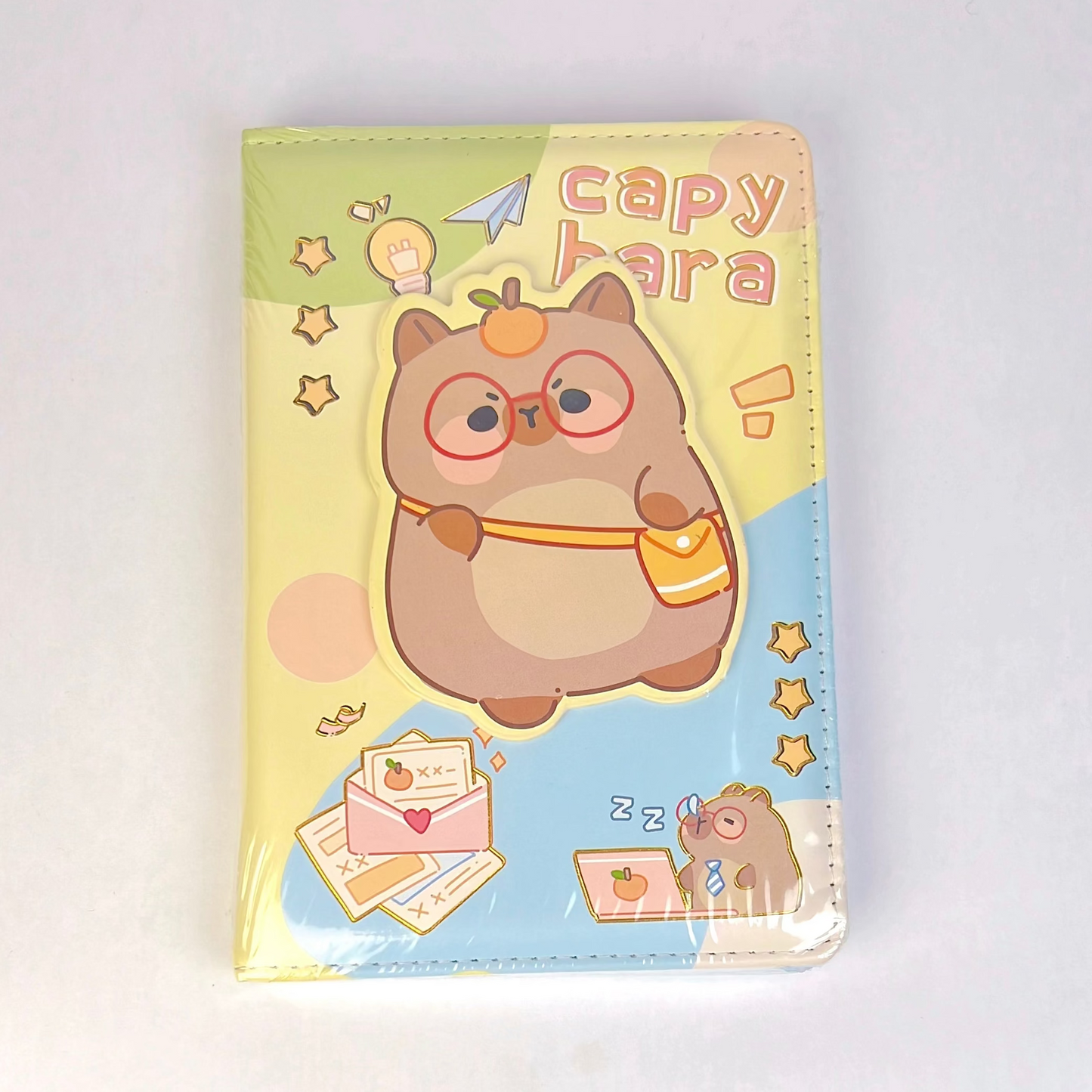 Capybara Postman Spin Diary